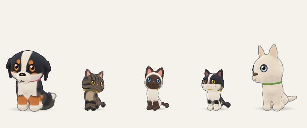 Five pets sitting in a row: a Bernese, a tabby cat, a Siamese cat, a tuxedo cat and a husky, all watching the same thing